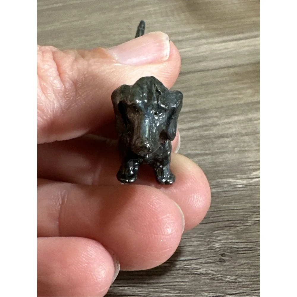 N/A miniature dachshund